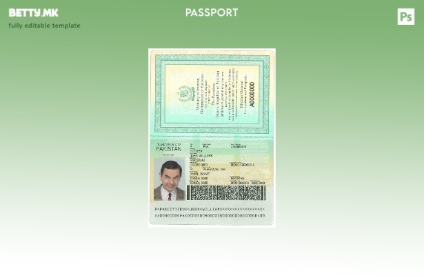 Модерен стил на пакистански пасош шаблон